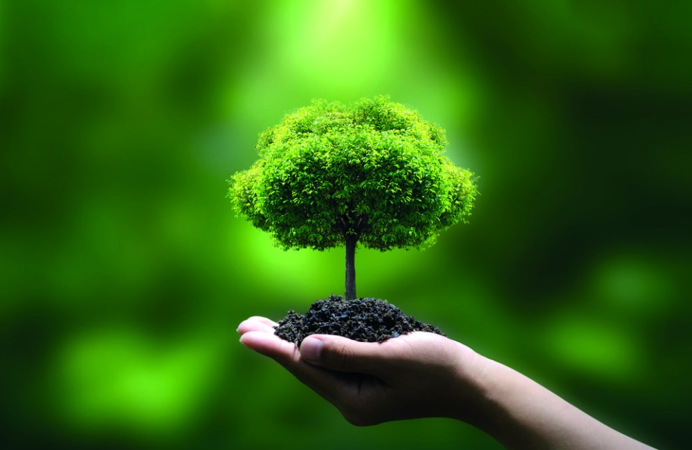 Evolution des CERFA 2025