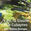 Exposition : 'Le Pic, La Gioune et le Cubaynes, site Rivières Sauvages'