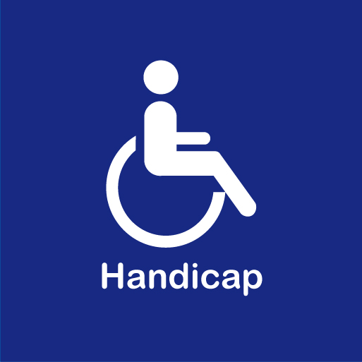 Handicap