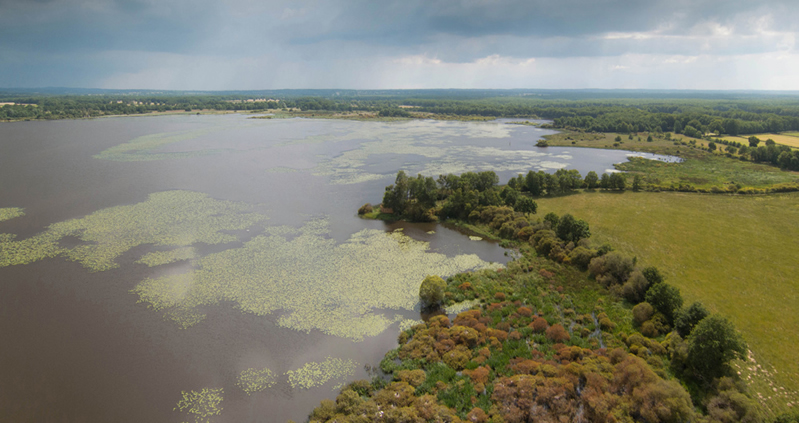 La Réserve naturelle de l'étang des Landes