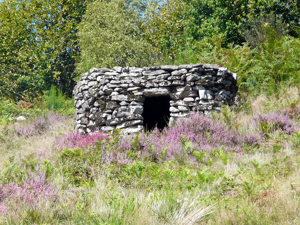 « Un trésor dans mon département » 